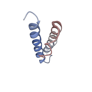 20048_6ofx_y_v1-2
Non-rotated ribosome (Structure I)