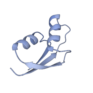 20048_6ofx_z_v1-2
Non-rotated ribosome (Structure I)