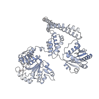 3776_5ofo_A_v1-4
Cryo EM structure of the E. coli disaggregase ClpB (BAP form, DWB mutant), in the ATPgammaS state, bound to the model substrate casein