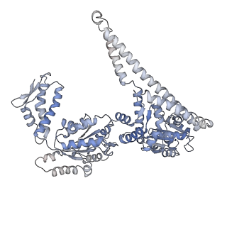 3776_5ofo_B_v1-4
Cryo EM structure of the E. coli disaggregase ClpB (BAP form, DWB mutant), in the ATPgammaS state, bound to the model substrate casein