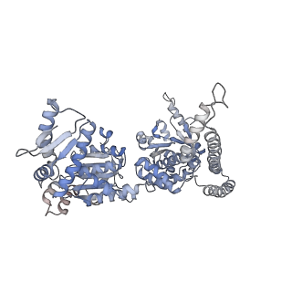 3776_5ofo_C_v1-4
Cryo EM structure of the E. coli disaggregase ClpB (BAP form, DWB mutant), in the ATPgammaS state, bound to the model substrate casein