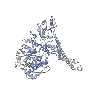 3776_5ofo_D_v1-4
Cryo EM structure of the E. coli disaggregase ClpB (BAP form, DWB mutant), in the ATPgammaS state, bound to the model substrate casein