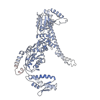3776_5ofo_E_v1-4
Cryo EM structure of the E. coli disaggregase ClpB (BAP form, DWB mutant), in the ATPgammaS state, bound to the model substrate casein