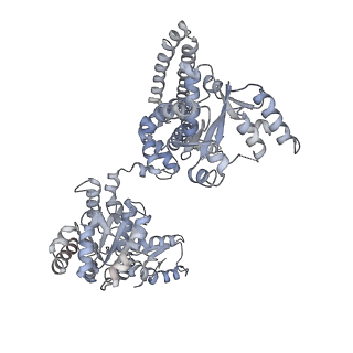 3776_5ofo_F_v1-4
Cryo EM structure of the E. coli disaggregase ClpB (BAP form, DWB mutant), in the ATPgammaS state, bound to the model substrate casein