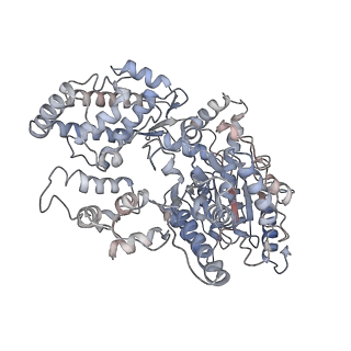 3802_5of4_B_v1-5
The cryo-EM structure of human TFIIH