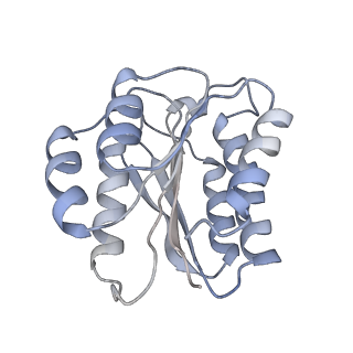 3802_5of4_E_v1-5
The cryo-EM structure of human TFIIH