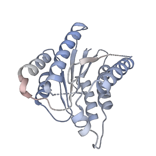 3802_5of4_F_v1-5
The cryo-EM structure of human TFIIH