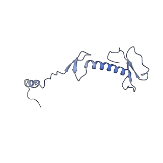 12877_7og4_0_v1-0
Human mitochondrial ribosome in complex with P/E-tRNA