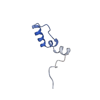 12877_7og4_2_v1-0
Human mitochondrial ribosome in complex with P/E-tRNA