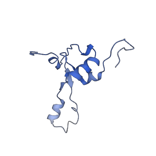 12877_7og4_3_v1-0
Human mitochondrial ribosome in complex with P/E-tRNA