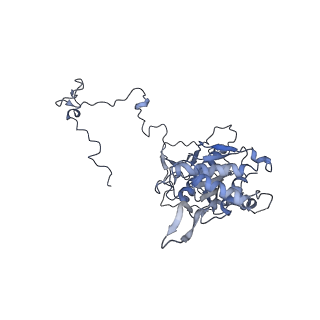 12877_7og4_5_v1-0
Human mitochondrial ribosome in complex with P/E-tRNA