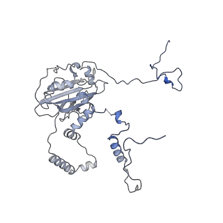 12877_7og4_6_v1-0
Human mitochondrial ribosome in complex with P/E-tRNA