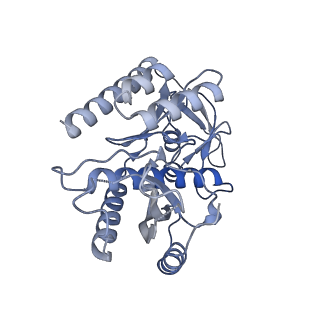 12877_7og4_7_v1-0
Human mitochondrial ribosome in complex with P/E-tRNA