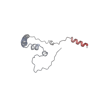 12877_7og4_8_v1-0
Human mitochondrial ribosome in complex with P/E-tRNA