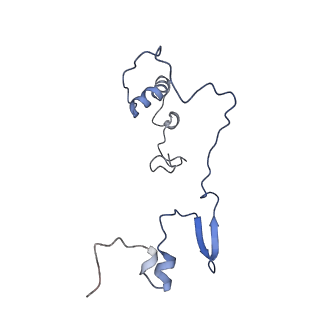 12877_7og4_9_v1-0
Human mitochondrial ribosome in complex with P/E-tRNA