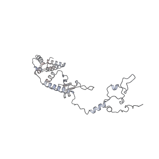 12877_7og4_A1_v1-0
Human mitochondrial ribosome in complex with P/E-tRNA