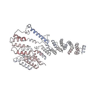 12877_7og4_A4_v1-0
Human mitochondrial ribosome in complex with P/E-tRNA