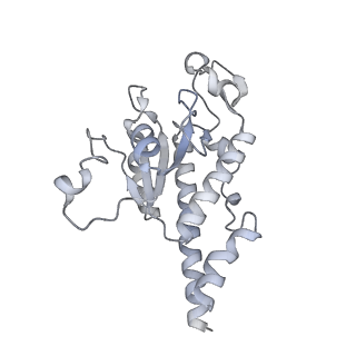 12877_7og4_AB_v1-0
Human mitochondrial ribosome in complex with P/E-tRNA