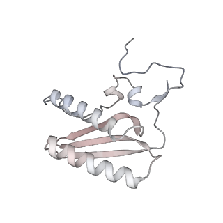 12877_7og4_AC_v1-0
Human mitochondrial ribosome in complex with P/E-tRNA