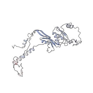 12877_7og4_AD_v1-0
Human mitochondrial ribosome in complex with P/E-tRNA