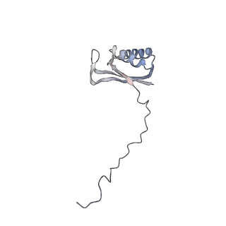 12877_7og4_AE_v1-0
Human mitochondrial ribosome in complex with P/E-tRNA