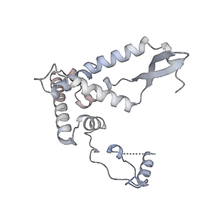 12877_7og4_AF_v1-0
Human mitochondrial ribosome in complex with P/E-tRNA