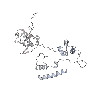 12877_7og4_AG_v1-0
Human mitochondrial ribosome in complex with P/E-tRNA