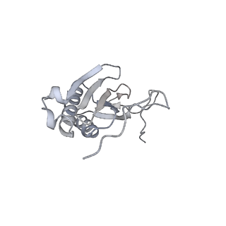 12877_7og4_AI_v1-0
Human mitochondrial ribosome in complex with P/E-tRNA