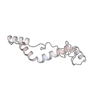12877_7og4_AK_v1-0
Human mitochondrial ribosome in complex with P/E-tRNA