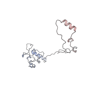 12877_7og4_AO_v1-0
Human mitochondrial ribosome in complex with P/E-tRNA