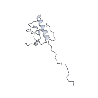 12877_7og4_AP_v1-0
Human mitochondrial ribosome in complex with P/E-tRNA