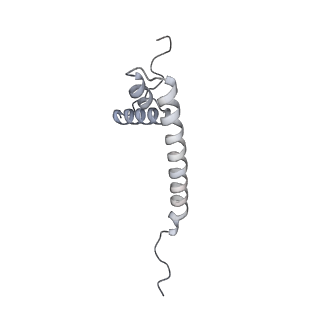 12877_7og4_AQ_v1-0
Human mitochondrial ribosome in complex with P/E-tRNA