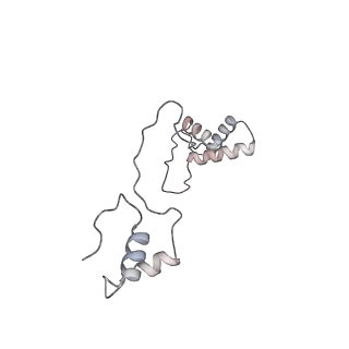 12877_7og4_AS_v1-0
Human mitochondrial ribosome in complex with P/E-tRNA
