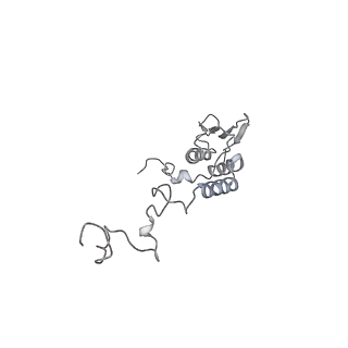 12877_7og4_AT_v1-0
Human mitochondrial ribosome in complex with P/E-tRNA