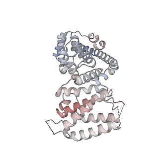 12877_7og4_AV_v1-0
Human mitochondrial ribosome in complex with P/E-tRNA