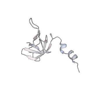 12877_7og4_AW_v1-0
Human mitochondrial ribosome in complex with P/E-tRNA