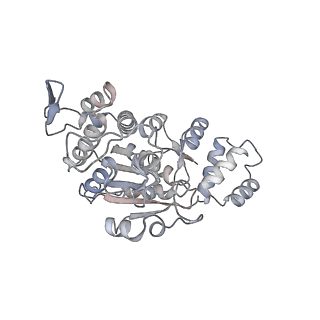 12877_7og4_AX_v1-0
Human mitochondrial ribosome in complex with P/E-tRNA