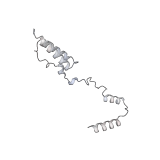 12877_7og4_AY_v1-0
Human mitochondrial ribosome in complex with P/E-tRNA