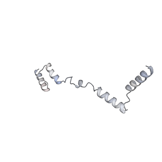 12877_7og4_AZ_v1-0
Human mitochondrial ribosome in complex with P/E-tRNA