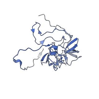 12877_7og4_XD_v1-0
Human mitochondrial ribosome in complex with P/E-tRNA