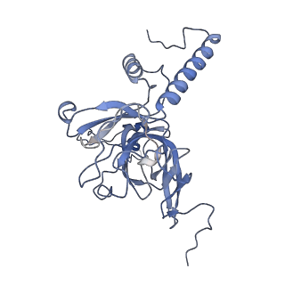 12877_7og4_XE_v1-0
Human mitochondrial ribosome in complex with P/E-tRNA