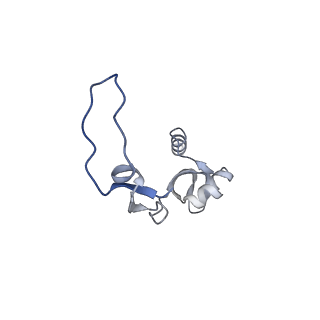 12877_7og4_XH_v1-0
Human mitochondrial ribosome in complex with P/E-tRNA