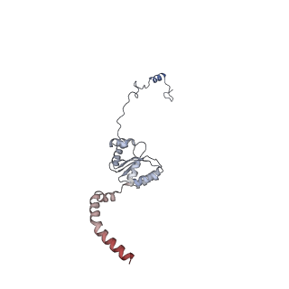 12877_7og4_XI_v1-0
Human mitochondrial ribosome in complex with P/E-tRNA
