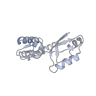 12877_7og4_XJ_v1-0
Human mitochondrial ribosome in complex with P/E-tRNA