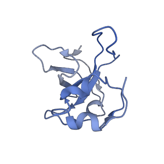 12877_7og4_XL_v1-0
Human mitochondrial ribosome in complex with P/E-tRNA