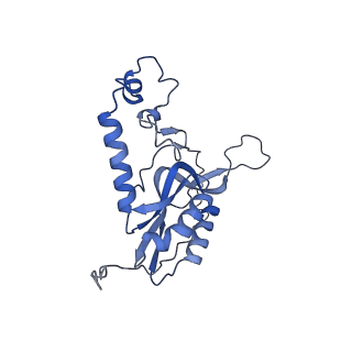 12877_7og4_XN_v1-0
Human mitochondrial ribosome in complex with P/E-tRNA