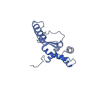 12877_7og4_XO_v1-0
Human mitochondrial ribosome in complex with P/E-tRNA