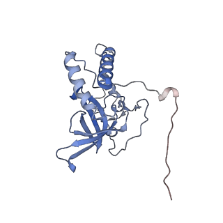 12877_7og4_XQ_v1-0
Human mitochondrial ribosome in complex with P/E-tRNA