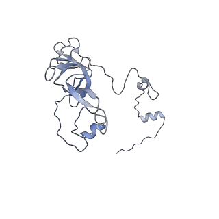 12877_7og4_XV_v1-0
Human mitochondrial ribosome in complex with P/E-tRNA