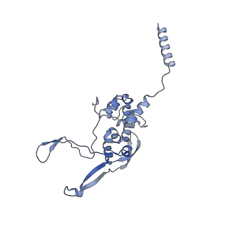 12877_7og4_XX_v1-0
Human mitochondrial ribosome in complex with P/E-tRNA